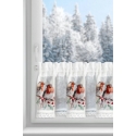 Eurofirany SW/XMAS/FIR/10 30X150 TUNEL B+RUDY