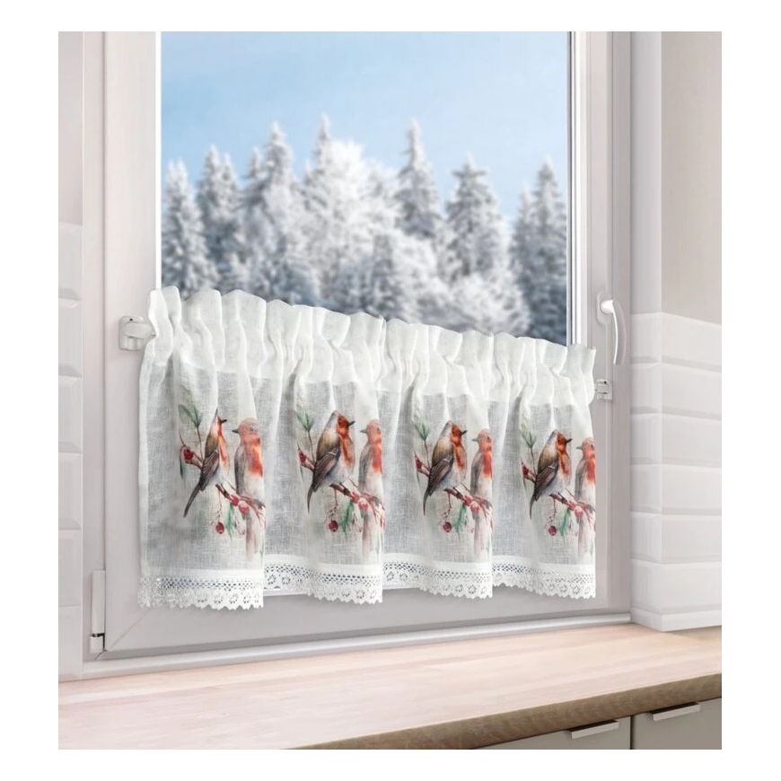 Eurofirany SW/XMAS/FIR/10 30X150 TUNEL B+RUDY – 5
