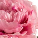 Eurofirany KW/NATU/506/C.R Sarkanā roze Eurofirany KW/NATU/506/C.R Sarkanā roze