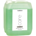 Subrina Professional, Care Salon, juuste šampoon, niisutav, 5000 ml, unisex Subrina Professional, Care Salon, juuste šampoon, niisutav, 5000 ml, unisex