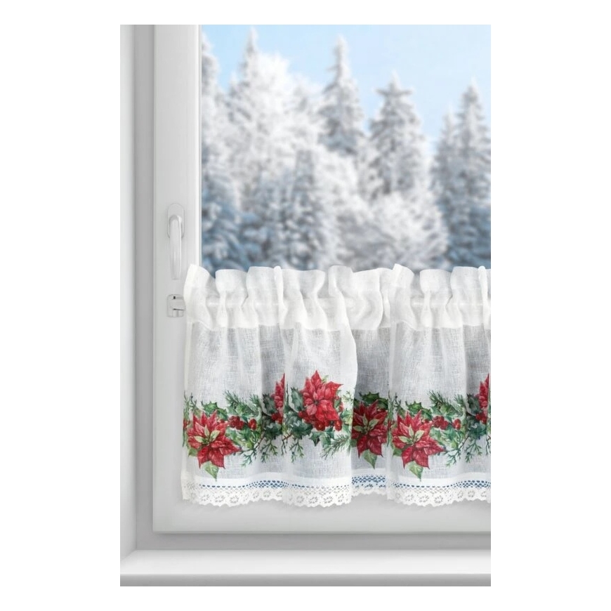 Eurofirany SW/XMAS/FIR/5 30X150 TUNEL B+CZER