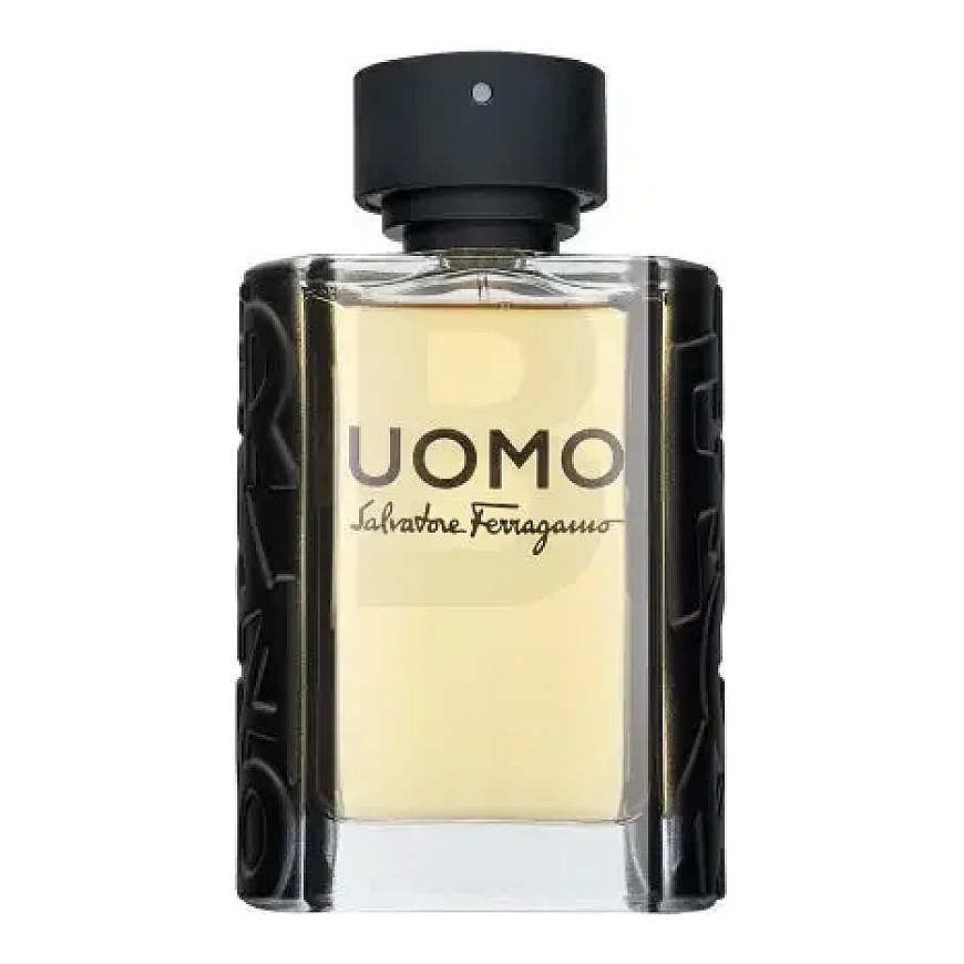 Salvatore Ferragamo Uomo (EDT) Eau de Toilette miehille 100 ml