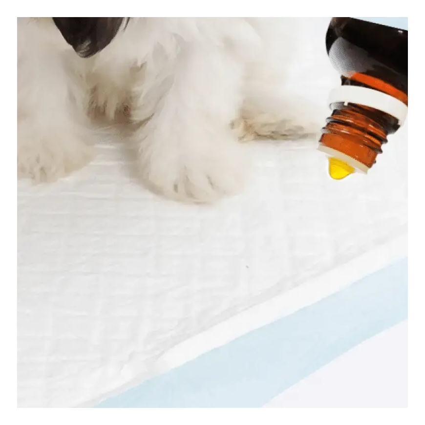 Koiran houkutin - Beaphar Puppy Trainer 50 ml – 2