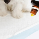 Koera atraktant - Beaphar Puppy Trainer 50 ml Koera atraktant - Beaphar Puppy Trainer 50 ml