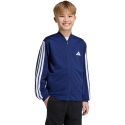 Толстовка для детей adidas Essentials Climacool темно-синяя KR2146 (152 см) Толстовка для детей adidas Essentials Climacool темно-синяя KR2146 (152 см)