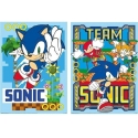 Pyramid Sonic the Hedgehog -julistepakkaus (52x38cm)