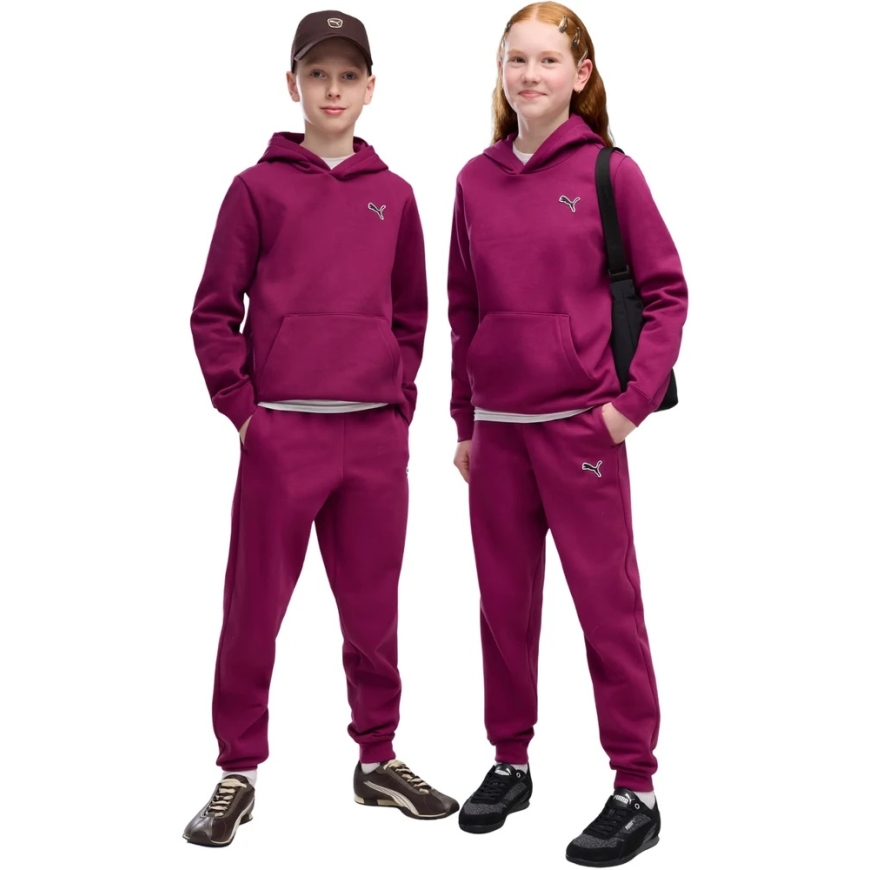 Штаны для детей Puma ESS Elevated фуксия 694702 41 (152 см) – 4