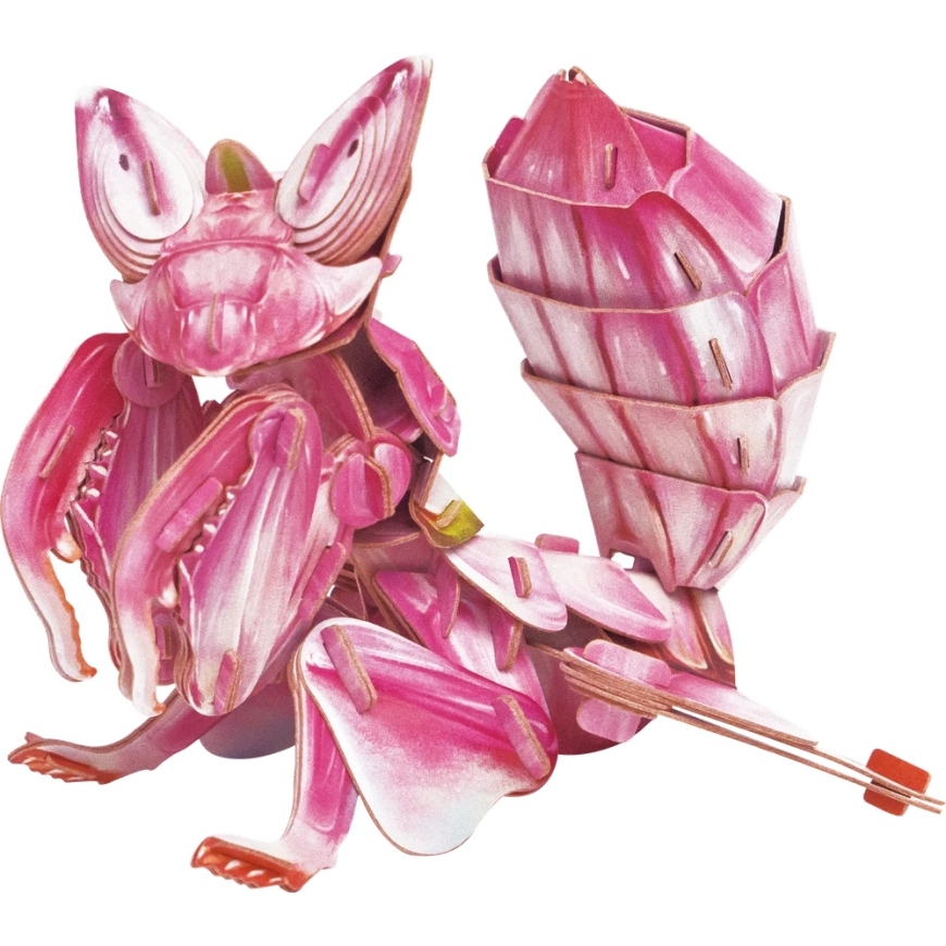 MAKEBUG 3D papīra puzle Orhideju kolekcionārs, MB-D-0052 – 2