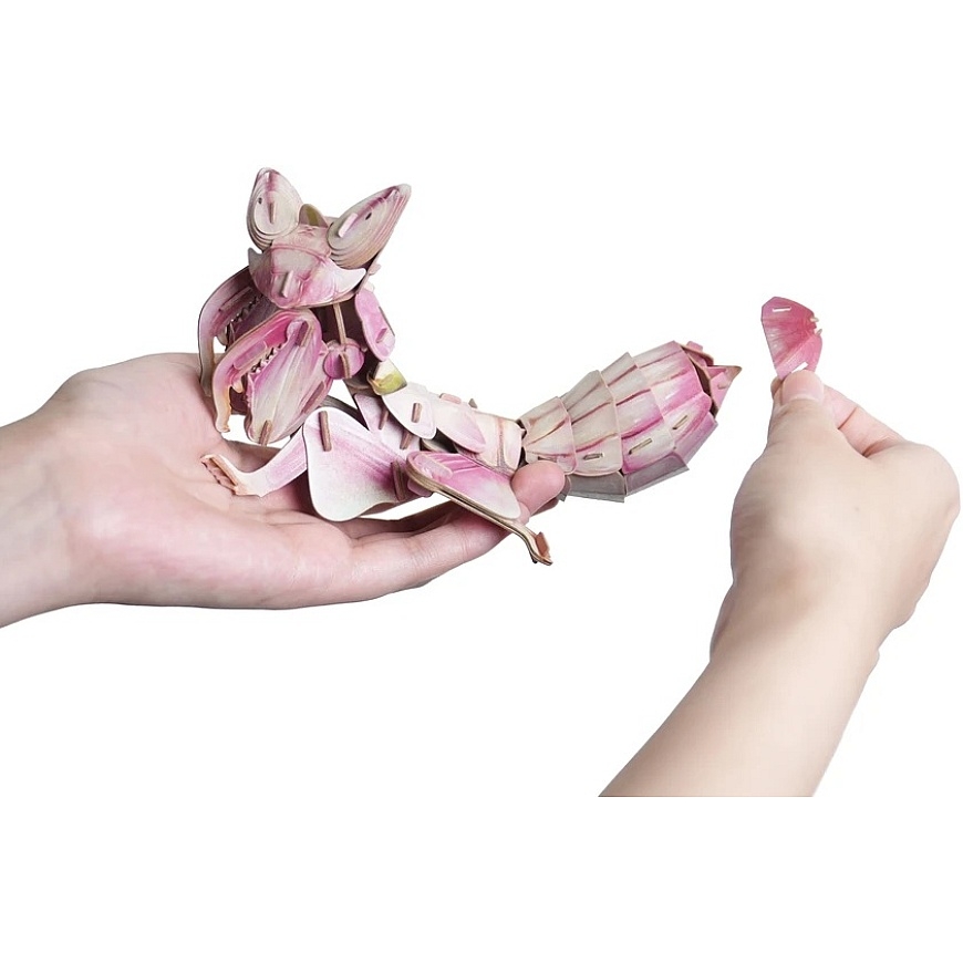 MAKEBUG 3D popierinė dėlionė Orchidėjinis maldininkas, MB-D-0052 – 4