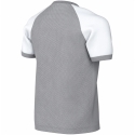 Nike Dri-FIT Trophy VI laste T-särk hall HV8158 012 (M) Nike Dri-FIT Trophy VI laste T-särk hall HV8158 012 (M)
