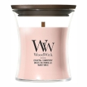 Woodwick Pakrantės päevalill Woodwick Pakrantės päevalill