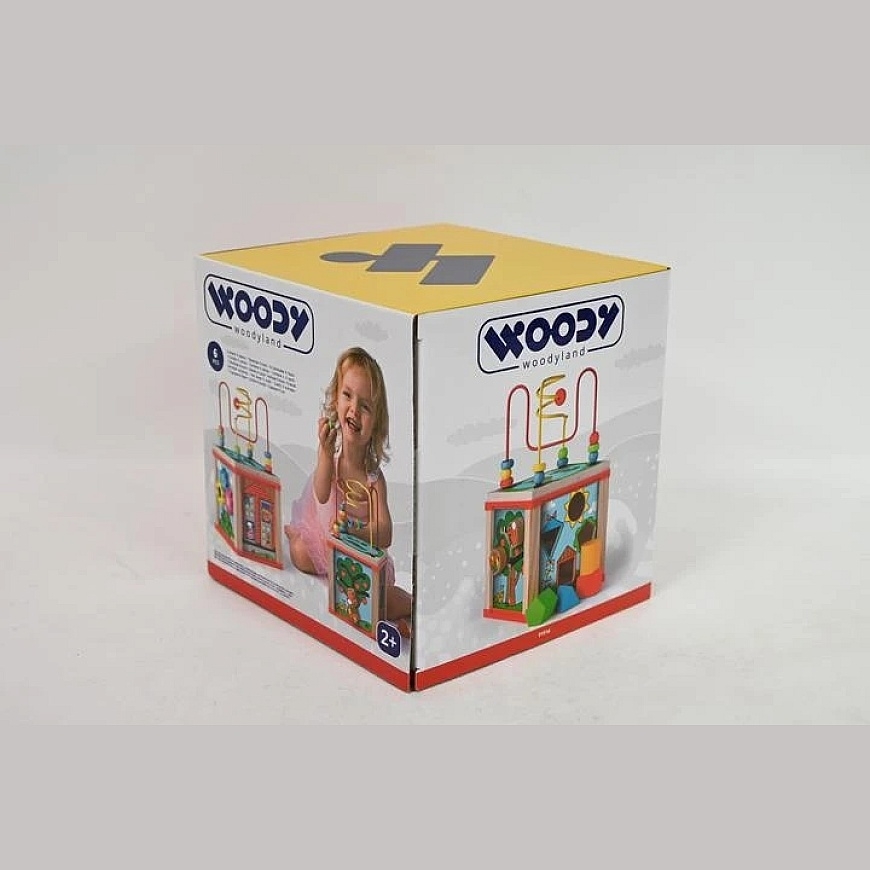 WOODYLAND Activity Cube + Sorter 91916 19161