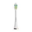 Electric toothbrush Polaris PETB 0101 TC Electric toothbrush Polaris PETB 0101 TC