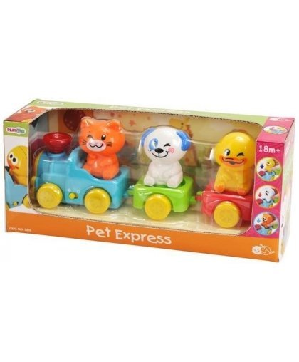 PLAYGO INFANT & TODDLER train fun 18 months +, 2815