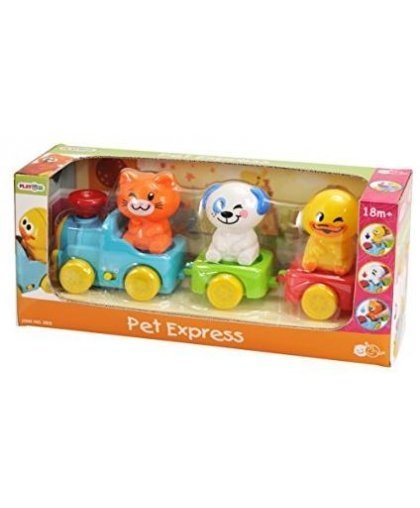 PLAYGO INFANT & TODDLER train fun 18 months +, 2815 – 7