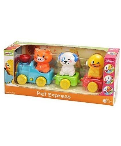 PLAYGO INFANT & TODDLER train fun 18 months +, 2815 – 8