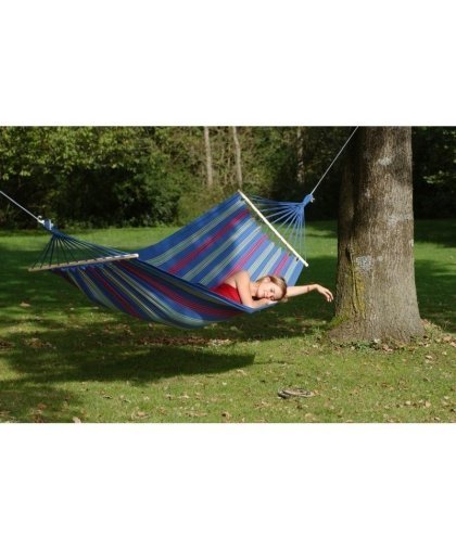 Amazonas Hamakas dating in ARUBA, Juniper – 3
