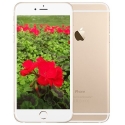 Apple iPhone 6s Plus 16GB Gold Apple iPhone 6s Plus 16GB Gold