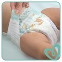 Pampers AB 6 128 tk Pampers AB 6 128 tk