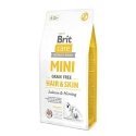 Brit Care Dog Mini Hair&Skin 7kg Brit Care Dog Mini Hair&Skin 7kg