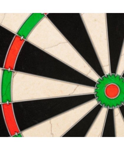 Harrows Darts taikinys OFFICIAL COMPETITION BRISTLE – 9