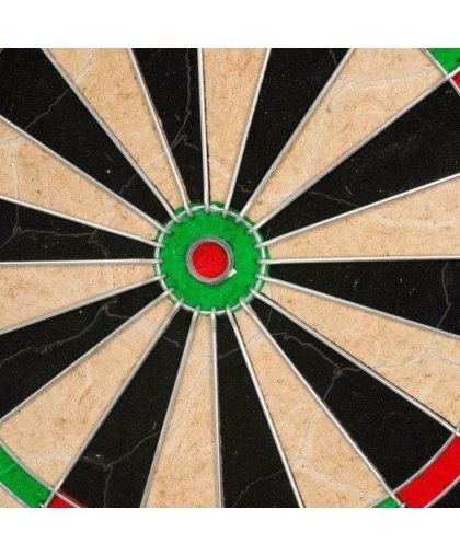 Harrows Darts taikinys OFFICIAL COMPETITION BRISTLE – 11