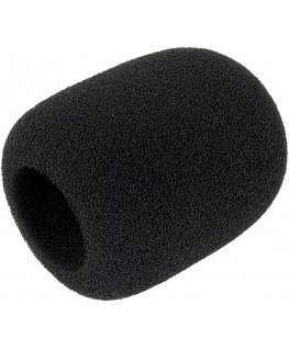 RØDE WS2
