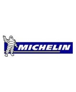 MICHELIN Tires Pilot Sport 4 SUV 112 Y XL ( CAB 74dB )