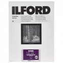 1x 25 Ilford MG RC DL 44M 18x24 1x 25 Ilford MG RC DL 44M 18x24