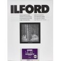 1x 10 Ilford MG RC DL 44M 24x30 1x 10 Ilford MG RC DL 44M 24x30