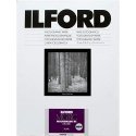 1x 25 Ilford MG RC DL 44M 13x18