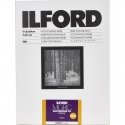 1x100 Ilford MG RC DL 25M 18x24 1x100 Ilford MG RC DL 25M 18x24