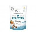 Brit Care Dog Recovery&Herring- 150 g