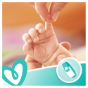 Drėgnos servetėlės Pampers Sensitive 15 pakuočiųx80vnt., 1200 servetėlės Drėgnos servetėlės Pampers Sensitive 15 pakuočiųx80vnt., 1200 servetėlės