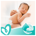 Drėgnos servetėlės Pampers Sensitive 15 pakuočiųx80vnt., 1200 servetėlės Drėgnos servetėlės Pampers Sensitive 15 pakuočiųx80vnt., 1200 servetėlės