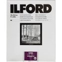 1x 50 Ilford MG RC DL 44M 24x30 1x 50 Ilford MG RC DL 44M 24x30
