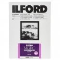 1x 25 Ilford MG RC DL 1M 13x18 1x 25 Ilford MG RC DL 1M 13x18