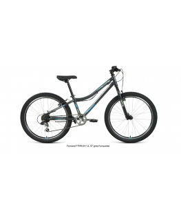 Forward TITAN 24 1.2, 12" grey/turquoise