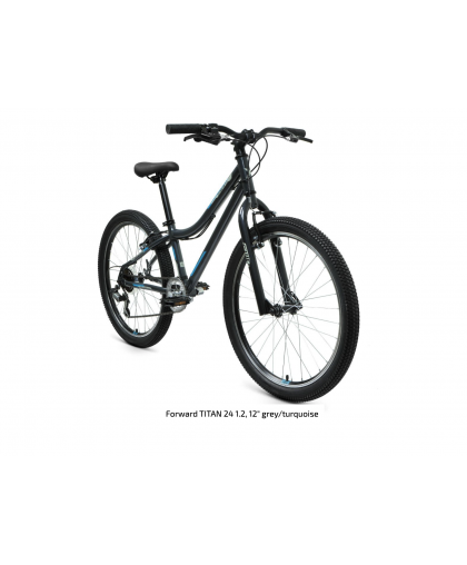 Forward TITAN 24 1.2, 12" grey/turquoise – 2