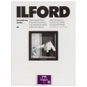1x 50 Ilford MG RC DL 44M 30x40
