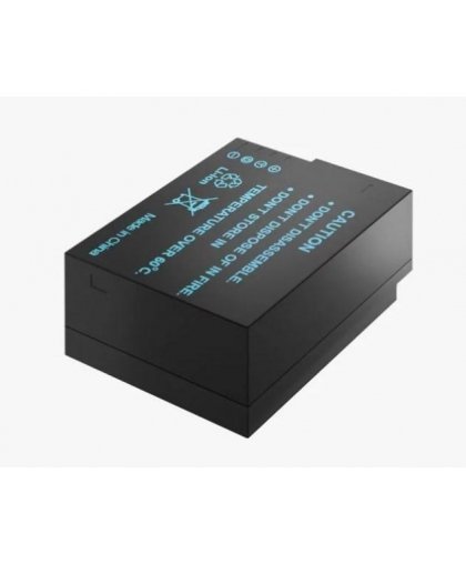 Newell replacement battery for Panasonic DMW-BLC12 – 4