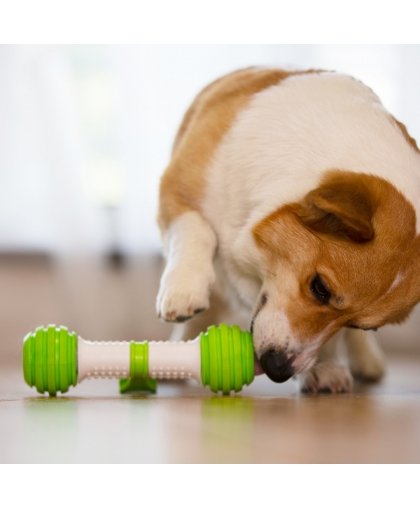 Doggy Village MT7100 interaktīva suņu rotaļlieta – 8