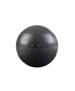 Pure2Improve P2I200070 Exercise Ball, 65 cm, Black, PVC