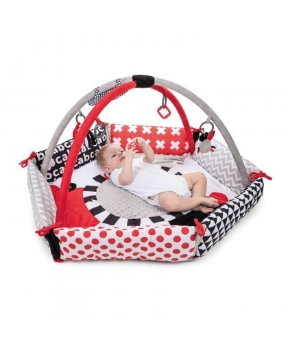 Canpol babies play mat SENSORY TOYS 68/077 – 6