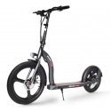 Beaster Scooter El, Scooter, BSVOYAGERDS