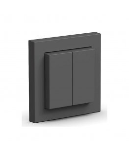 Senic Friends of Hue Switch anthracite self-powered switch Homekit compatible