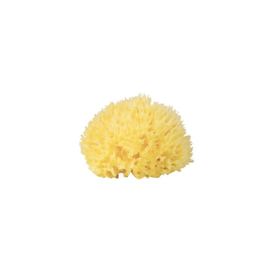 Babu® natūrali kempinė nr.12 – 2