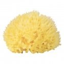 Babu® natural sponge no.12 Babu® natural sponge no.12