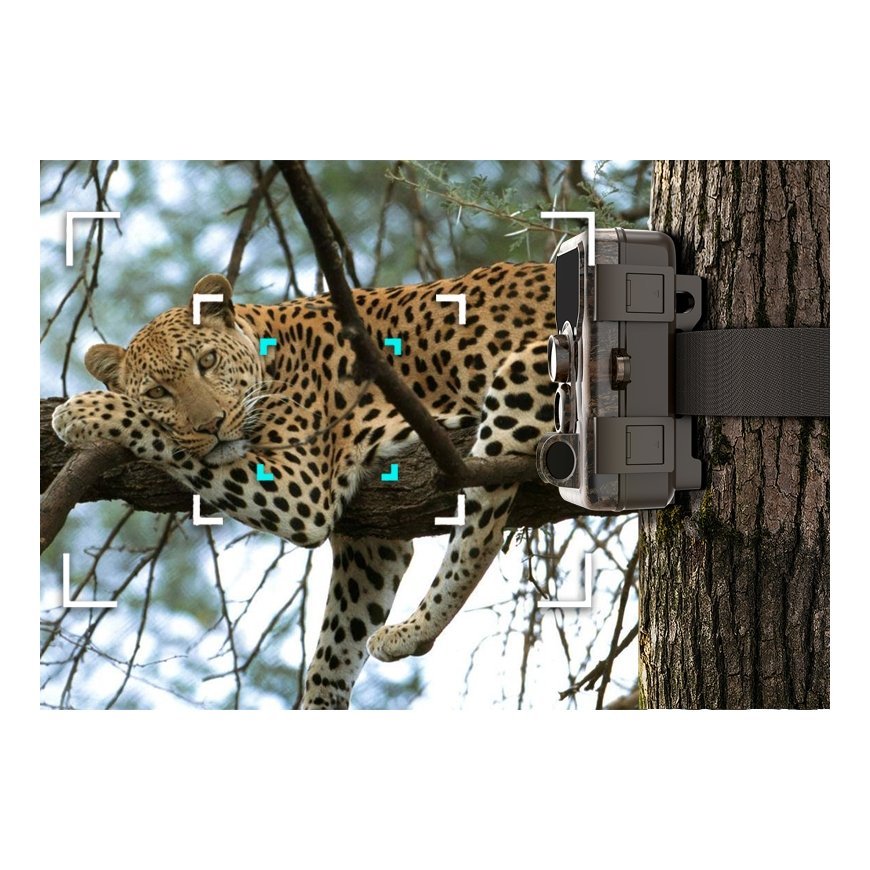 SJCAM M50 woodland žalias – 2