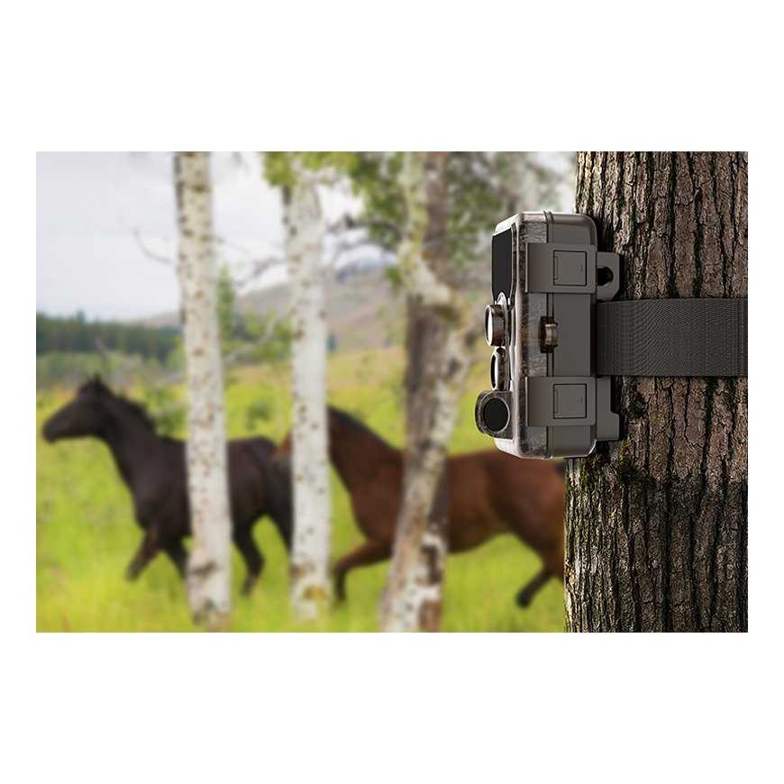 SJCAM M50 woodland žalias – 4